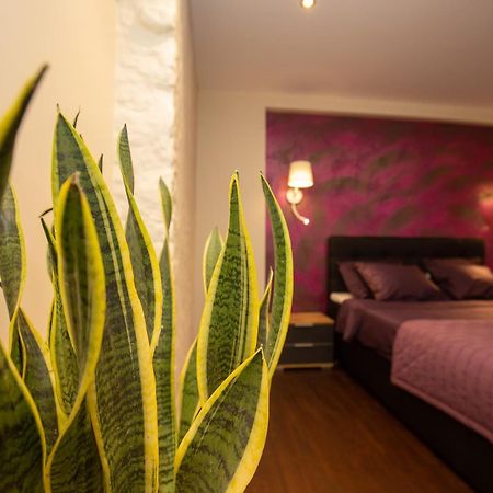 P54 Apartment Paide Bagian luar foto