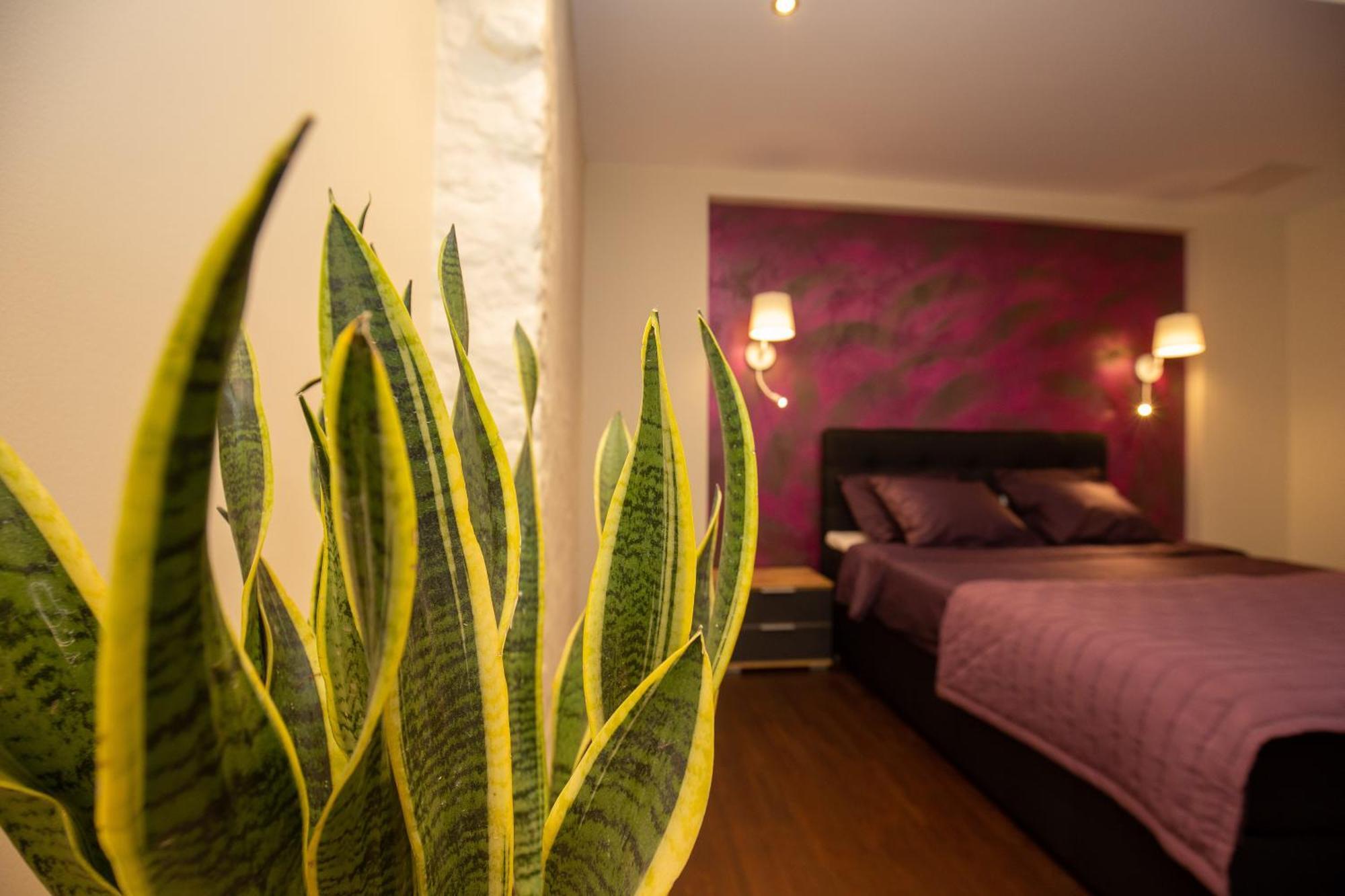 P54 Apartment Paide Bagian luar foto